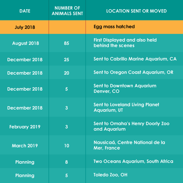 Chart of where Wolf Eels have been sent or moved