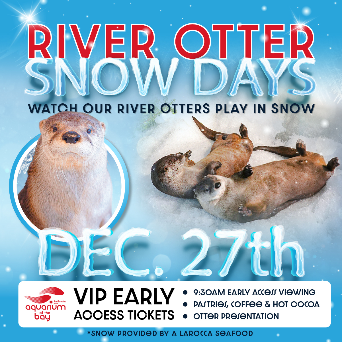 River Otter Snow Days