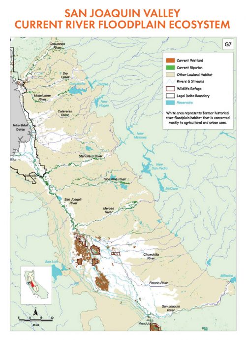 San Joaquin Valley Current River Floodplain Ecosystem